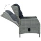 vidaXL Set comedor jardín 9 pzas y cojines ratán sintético gris claro vidaXL Set comedor jardín 9 pzas y cojines ratán sintético gris claro
