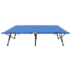 vidaXL Tumbona plegable para 2 personas acero azul