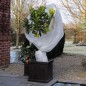 Nature Funda cubre plantas polar anti-heladas blanco 30 g/m² 2x10 m Nature Funda cubre plantas polar anti-heladas blanco 30 g/m² 2x10 m