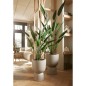 Emerald Planta heliconia artificial 125 cm verde 419837 Emerald Planta heliconia artificial 125 cm verde 419837