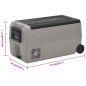 vidaXL Nevera con ruedas y asa PP Y PE negro y gris 60 L