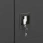 vidaXL Armario de taquilla de acero gris antracita 90x40x180 cm vidaXL Armario de taquilla de acero gris antracita 90x40x180 cm