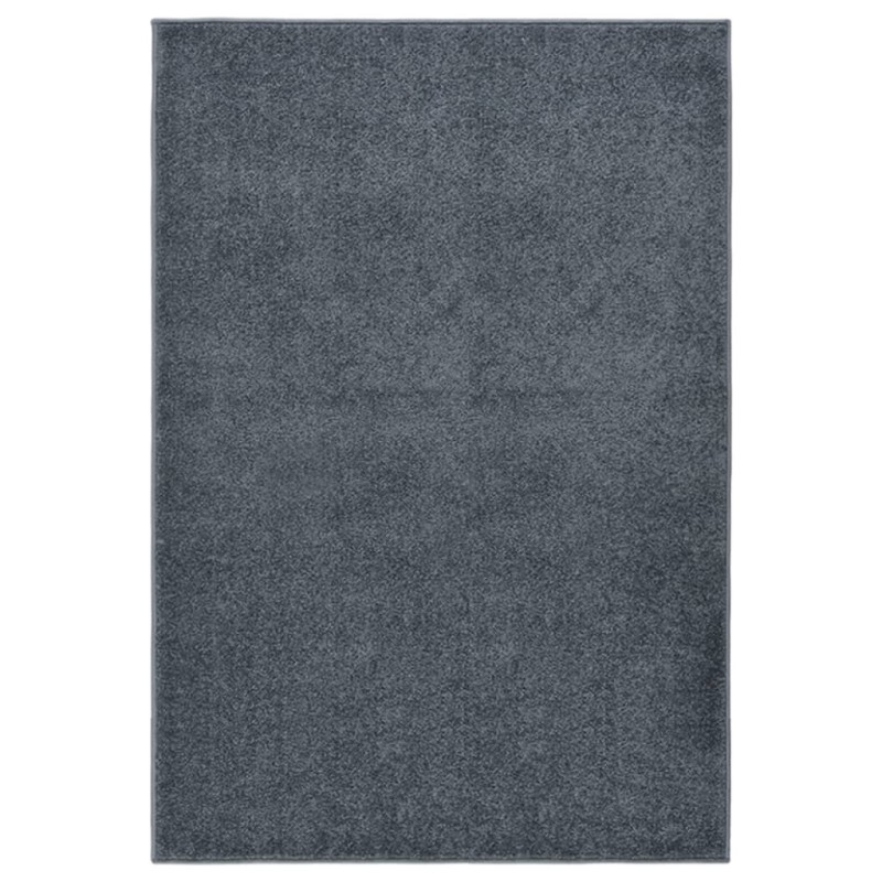 vidaXL Alfombra de pelo corto gris antracita 200x290 cm vidaXL Alfombra de pelo corto gris antracita 200x290 cm