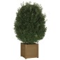 vidaXL Jardinera de madera maciza de pino marrón 40x40x40 cm vidaXL Jardinera de madera maciza de pino marrón 40x40x40 cm