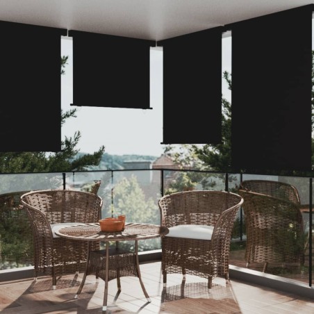 vidaXL Toldo lateral de balcón negro 122x250 cm