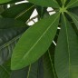 vidaXL Árbol de la fortuna artificial con macetero 85 cm verde vidaXL Árbol de la fortuna artificial con macetero 85 cm verde