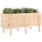 vidaXL Arriate elevado de jardín madera maciza de pino 121x50x57 cm vidaXL Arriate elevado de jardín madera maciza de pino 121x50x57 cm
