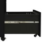vidaXL Armario archivador móvil acero negro 30x45x59 cm