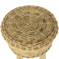 vidaXL Taburete de bar ratán natural vidaXL Taburete de bar ratán natural
