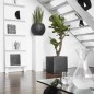 Capi Macetero cuadrado Urban Smooth 50x50x50 cm negra KBL904 Capi Macetero cuadrado Urban Smooth 50x50x50 cm negra KBL904