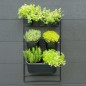 Nature Kit de pared para jardín vertical Nature Kit de pared para jardín vertical
