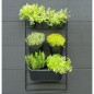 Nature Kit de pared para jardín vertical Nature Kit de pared para jardín vertical