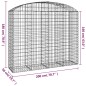 vidaXL Cesta gaviones forma arco hierro galvanizado 200x50x160/180 cm vidaXL Cesta gaviones forma arco hierro galvanizado 200x50x160/180 cm