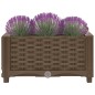 vidaXL Arriate 40x40x23 cm polipropileno vidaXL Arriate 40x40x23 cm polipropileno