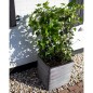 Capi Maceta cuadrada Nature Rib gris antracita 50x50 cm Capi Maceta cuadrada Nature Rib gris antracita 50x50 cm