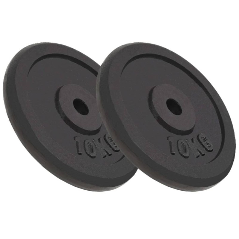 vidaXL Discos de pesas de hierro fundido 2 uds 2x10 kg vidaXL Discos de pesas de hierro fundido 2 uds 2x10 kg