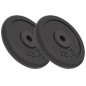 vidaXL Discos de pesas de hierro fundido 2 uds 2x10 kg vidaXL Discos de pesas de hierro fundido 2 uds 2x10 kg