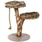 Designed by Lotte Mueble rascador Aviva madera 50x50x68 cm Designed by Lotte Mueble rascador Aviva madera 50x50x68 cm