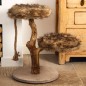 Designed by Lotte Mueble rascador Aviva madera 50x50x68 cm Designed by Lotte Mueble rascador Aviva madera 50x50x68 cm