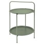 ProGarden Mesa de exterior con 2 bandejas verde mate 50x66 cm ProGarden Mesa de exterior con 2 bandejas verde mate 50x66 cm