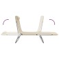 vidaXL Tumbonas plegables 2 uds acero y textilene color crema vidaXL Tumbonas plegables 2 uds acero y textilene color crema