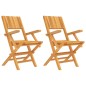 vidaXL Sillas de jardín plegables 2 uds madera maciza teca 55x61x90 cm