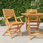 vidaXL Sillas de jardín plegables 2 uds madera maciza teca 55x62x90 cm vidaXL Sillas de jardín plegables 2 uds madera maciza teca 55x62x90 cm