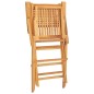 vidaXL Sillas de jardín plegables 2 uds madera maciza teca 55x62x90 cm vidaXL Sillas de jardín plegables 2 uds madera maciza teca 55x62x90 cm