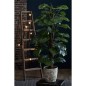 Emerald Monstera artificial sobre un palo 150 cm Emerald Monstera artificial sobre un palo 150 cm