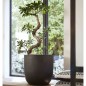 Capi Macetero Urban Smooth 43x41 cm negro KBL933 Capi Macetero Urban Smooth 43x41 cm negro KBL933