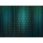 Komar Mural fotográfico Mystique Vert 400x280 cm