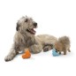 West Paw Juguete para perros con Zogoflex Tux azul aguamarina S West Paw Juguete para perros con Zogoflex Tux azul aguamarina S