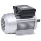 vidaXL Motor eléctrico monofásico aluminio 2,2kW/3HP 2 polos 2800 RPM vidaXL Motor eléctrico monofásico aluminio 2,2kW/3HP 2 polos 2800 RPM