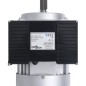 vidaXL Motor eléctrico monofásico aluminio 2,2kW/3HP 2 polos 2800 RPM vidaXL Motor eléctrico monofásico aluminio 2,2kW/3HP 2 polos 2800 RPM