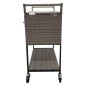 AXI Nevera de campo con aspecto de mimbre marrón 76 L AXI Nevera de campo con aspecto de mimbre marrón 76 L