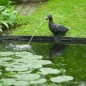 Ubbink Fuente de jardín con chorro y en forma de pato Ubbink Fuente de jardín con chorro y en forma de pato