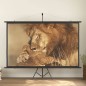 vidaXL Pantalla de proyección con trípode 108" 16:9 vidaXL Pantalla de proyección con trípode 108" 16:9