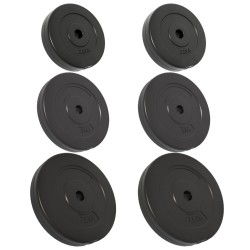 vidaXL Discos de pesas 6 piezas cemento 30 kg