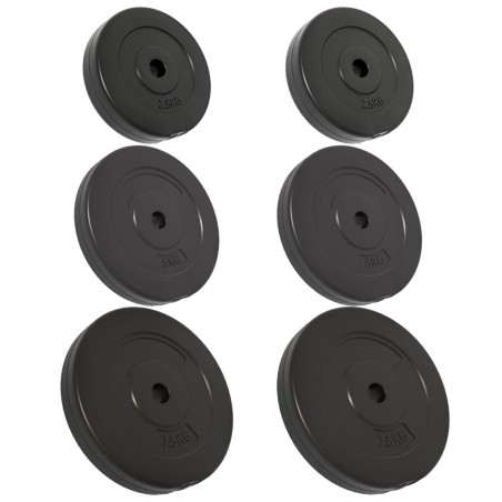 vidaXL Discos de pesas 6 piezas cemento 30 kg