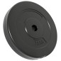 vidaXL Discos de pesas 6 piezas cemento 30 kg vidaXL Discos de pesas 6 piezas cemento 30 kg