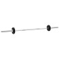 vidaXL Juego de barras y mancuernas de 30 kg hierro fundido