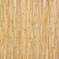 vidaXL Valla de bambú 300x100 cm