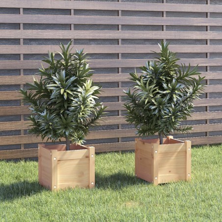 vidaXL Jardineras 2 uds madera maciza de pino 31x31x31 cm