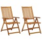 vidaXL Sillas de jardín reclinables 2 uds madera maciza de acacia vidaXL Sillas de jardín reclinables 2 uds madera maciza de acacia