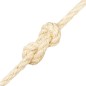 vidaXL Cuerda 100% sisal 12 mm 25 m vidaXL Cuerda 100% sisal 12 mm 25 m