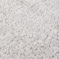 vidaXL Alfombra peluda antideslizante gris claro 200x290 cm vidaXL Alfombra peluda antideslizante gris claro 200x290 cm