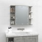 vidaXL Mueble con espejo y luces LED gris hormigón 70x16,5x60 cm vidaXL Mueble con espejo y luces LED gris hormigón 70x16,5x60 cm