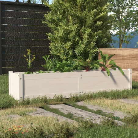vidaXL Arriate de madera maciza de pino blanco 150x31x31 cm