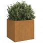 vidaXL Jardineras 2 unidades acero corten 49x47x46 cm vidaXL Jardineras 2 unidades acero corten 49x47x46 cm