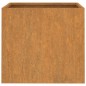 vidaXL Jardineras 2 unidades acero corten 49x47x46 cm vidaXL Jardineras 2 unidades acero corten 49x47x46 cm